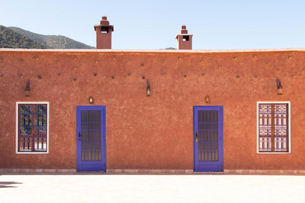 Riad Malak ويرڭان المظهر الخارجي الصورة