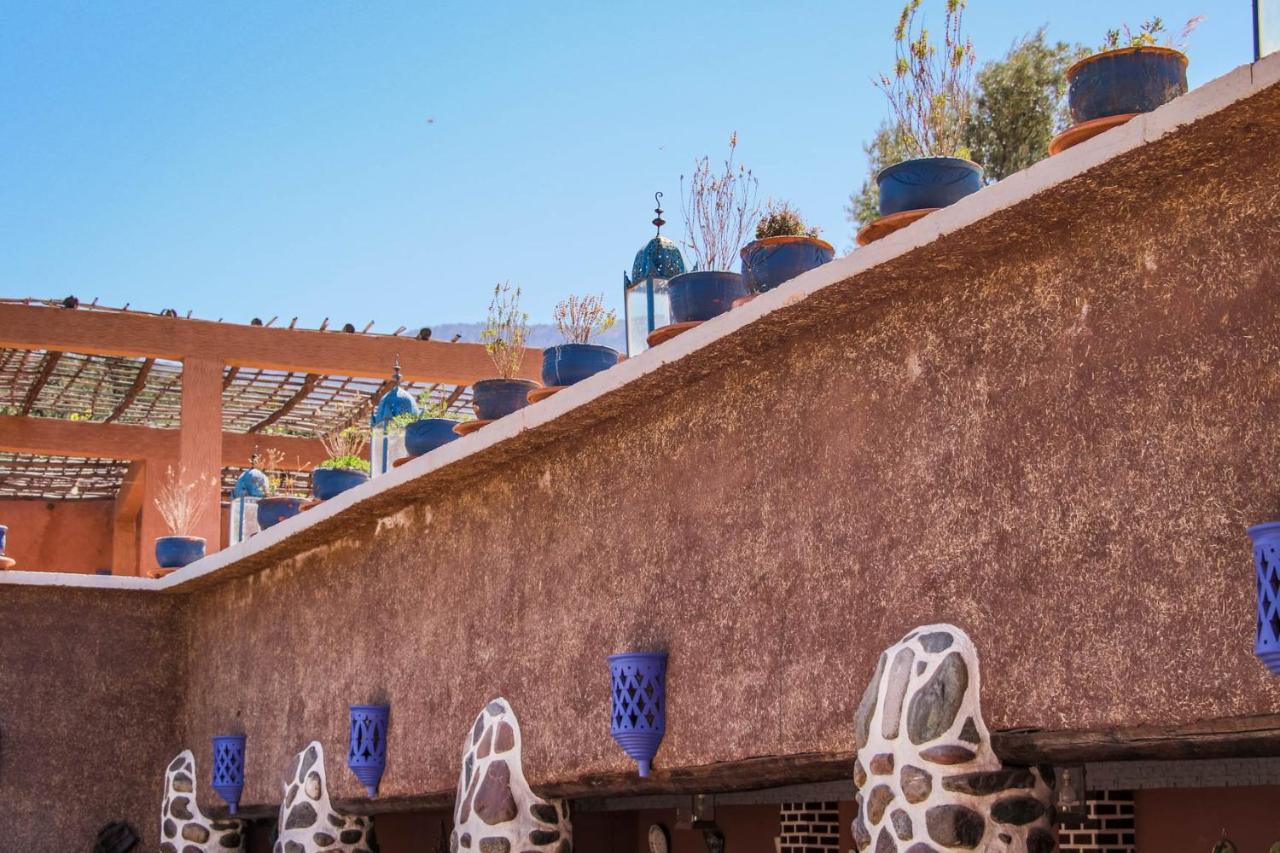 Riad Malak ويرڭان المظهر الخارجي الصورة